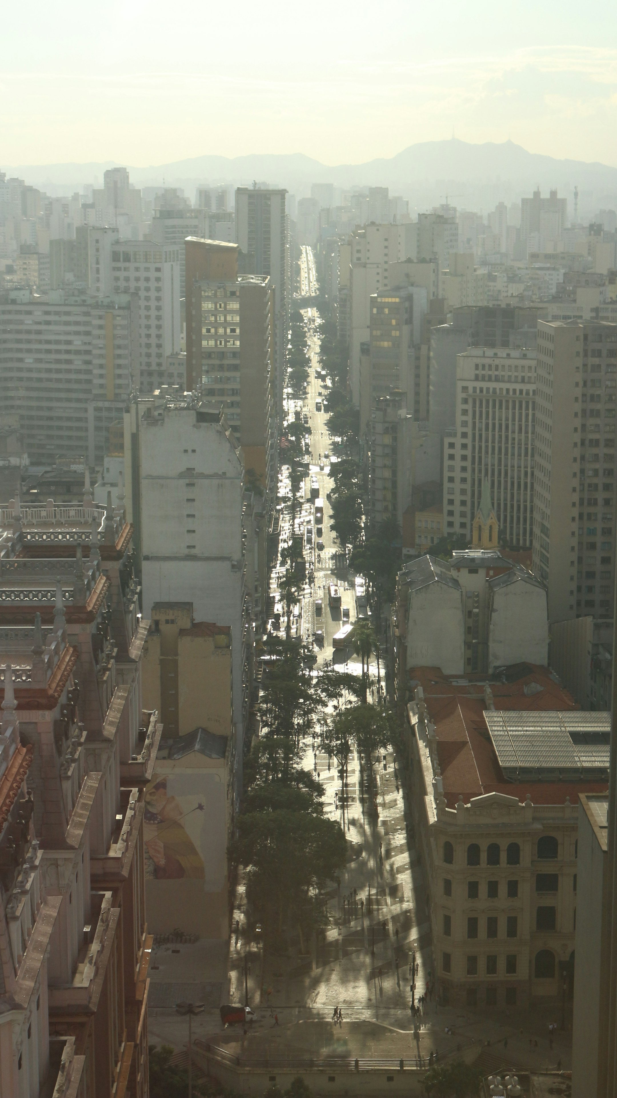 Avenida e prédios de São Paulo ao fundo